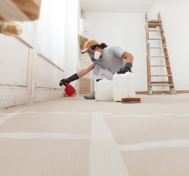 Saratoga, CA Mold Removal Company